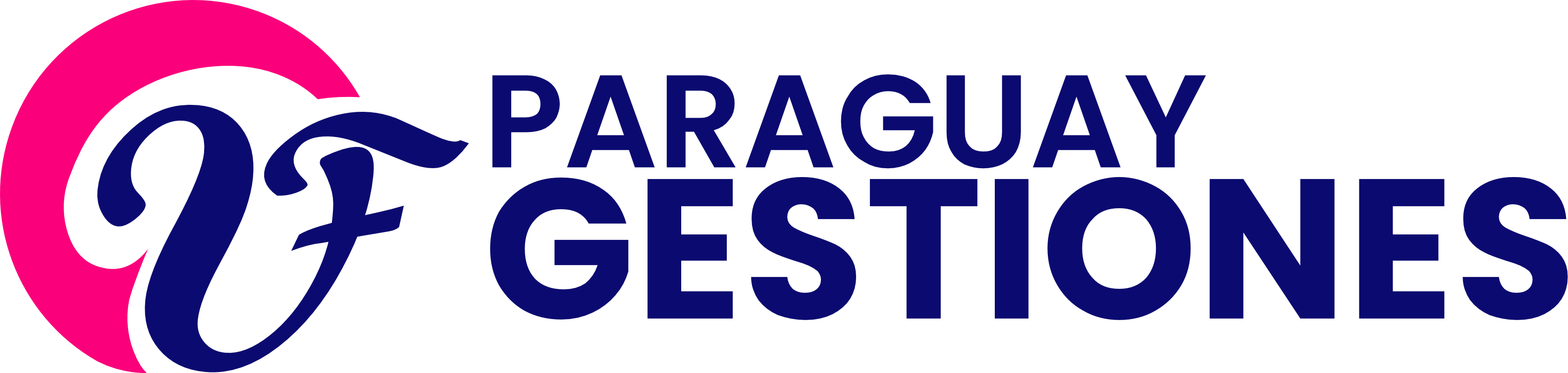 VF Paraguay Gestiones